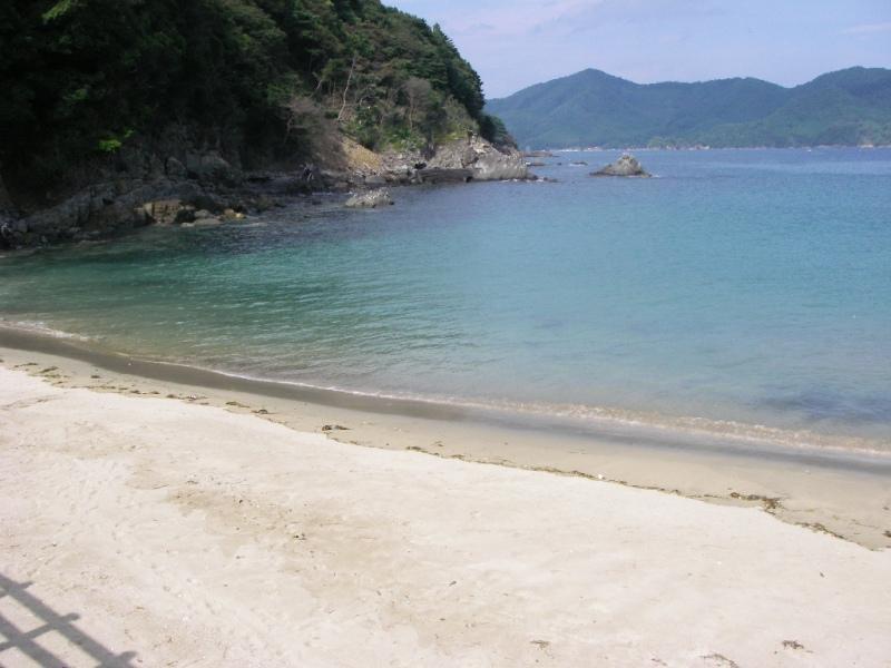 石巻市雄勝町分浜 波板海水浴場 帰ってきたしもちゃんのワクワク植物ランド